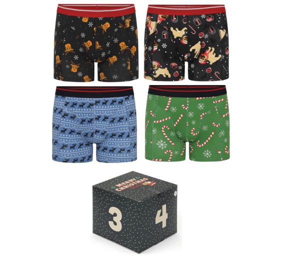 4 par jule-boxershorts i adventskalender - Str. Large